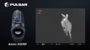 Pulsar Axion XM30F showing a young roe deer. Short unit footage from this great thermal spotter