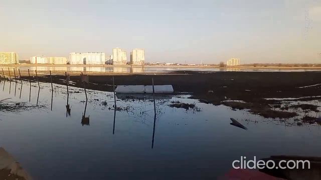 Вид на лужу в конце поля и новостройки Мурино