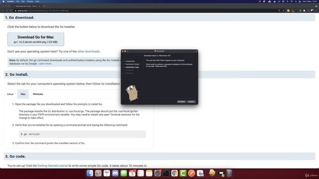 Golang Basics - Installation - The Complete React & Golang Course смотреть онлайн