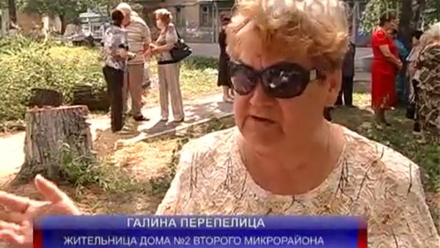 Тополя, ивы и березы смотреть онлайн