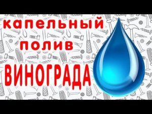 Капельный полив винограда с применением кеги 30 литров. своими руками.