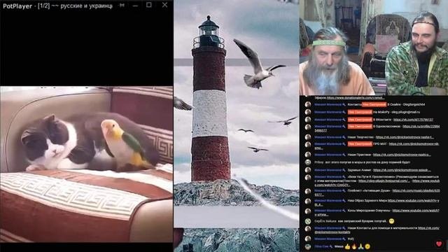 459 Ник Смотровой - На Осмысление 217 Ролики