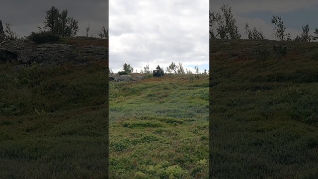 Lunch on the Tump - Ланч на Тумпе