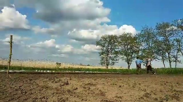 Вспашка ручным плугом