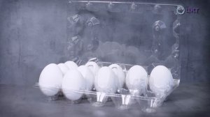 Сравнение упаковки для яиц и преимущества каждой из них