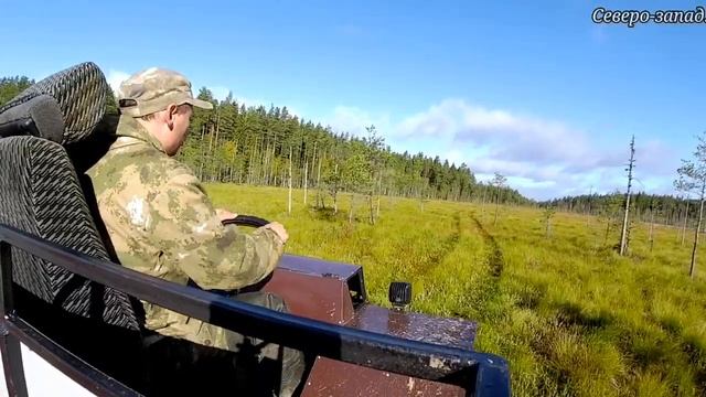 ДВИЖЕНИЕ ПО ОСЕННЕМУ БОЛОТУ // ВЕЗДЕХОД "АКУЛА" Видео без слов! смотреть онлайн