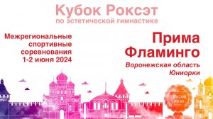 Прима Фламинго, Межрегиональные соревнования "Кубок Роксэт 2024", предварительные соревнования