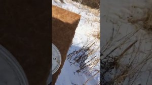 пристрелка карабина лось 9