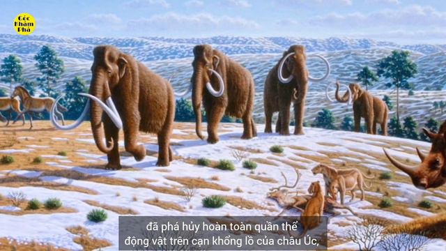 HOMO SAPIENS -Nguyên nhân của sự tuyệt chủng hàng loạt ở châu Úc thời tiền sử ? смотреть онлайн