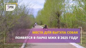 Места для выгула собак появятся в парке МЖК в 2025 году