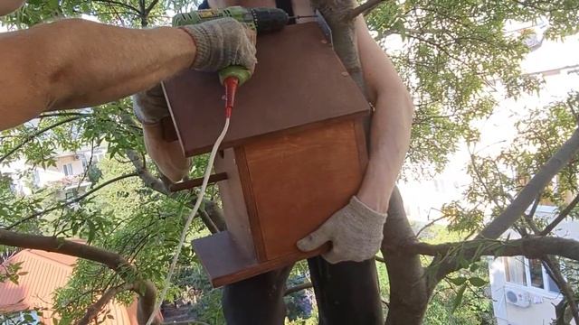 СМЕШНОЕ ВИДЕО КАК ПРАВИЛЬНО ПОВЕСИТЬ СКВОРЕЧНИК И НЕ УПАСТЬ С ДЕРЕВА?! смотреть онлайн