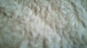 Моя коллекция DVD-дисков со Смешариками (часть 1)