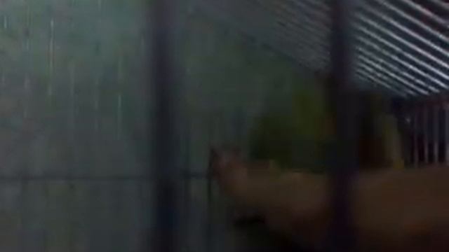 Упал-не упал смотреть онлайн