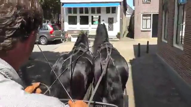 Фризы пара . Том и Томас 3 смотреть онлайн