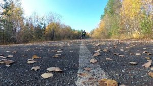 Импровизированная лыжероллерная трасса в Краснотурьинске