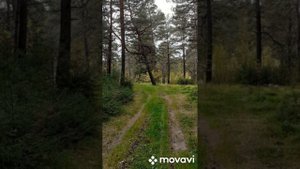 ?Сибирь, Тюхтет, Красноярский край?