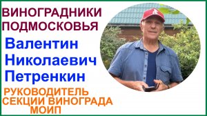 Виноградник руководителя секции виноградарства МОИП Валентина Николаевича Петренкина.