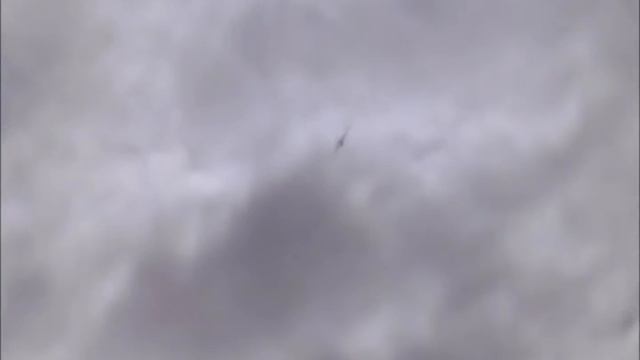 Hibiscus Coast Radio Fliers HCRF 23 03 2014 смотреть онлайн