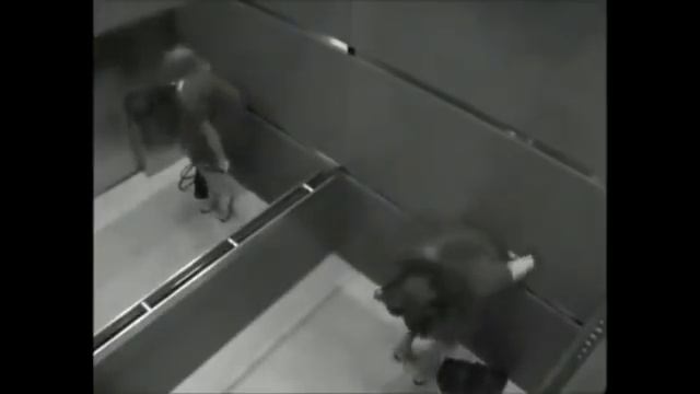 Скрытая камера в лифте смотреть всем смотреть онлайн