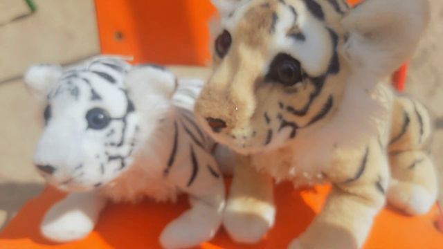 Тигрята на прогулке // Летний мини влог от Аси и Оливера // СЕМЬЯ ТИГРОВ 💕 // смотреть онлайн