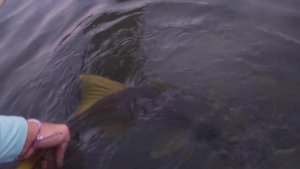 Kayak & Beach solo fishing trip!