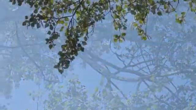 Юг Украины - весна. Цветущий юг Украины смотреть онлайн