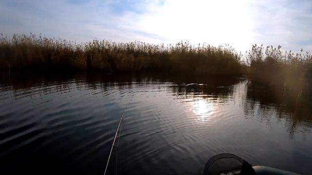 ЖОР ОКУНЯ В НОЯБРЕ | Рыбалка на Спиннинг на Окуня смотреть онлайн