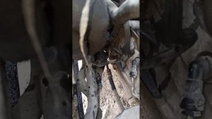 Заміна стартера Опель Віваро Рено Трафік 2.0 дизель