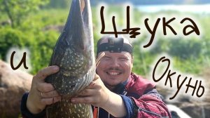 ЩУКА и ОКУНЬ на воблер, осенняя рыбалка лайф