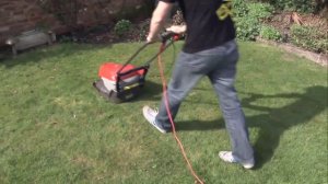 Уход за газоном: Как получить идеальный газон