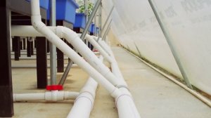 Акваферма Дело природы