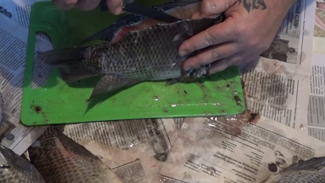 Рыбное филе ,разделка Тилапии, смотреть онлайн