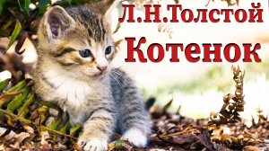 Л.Н. Толстой - Котенок