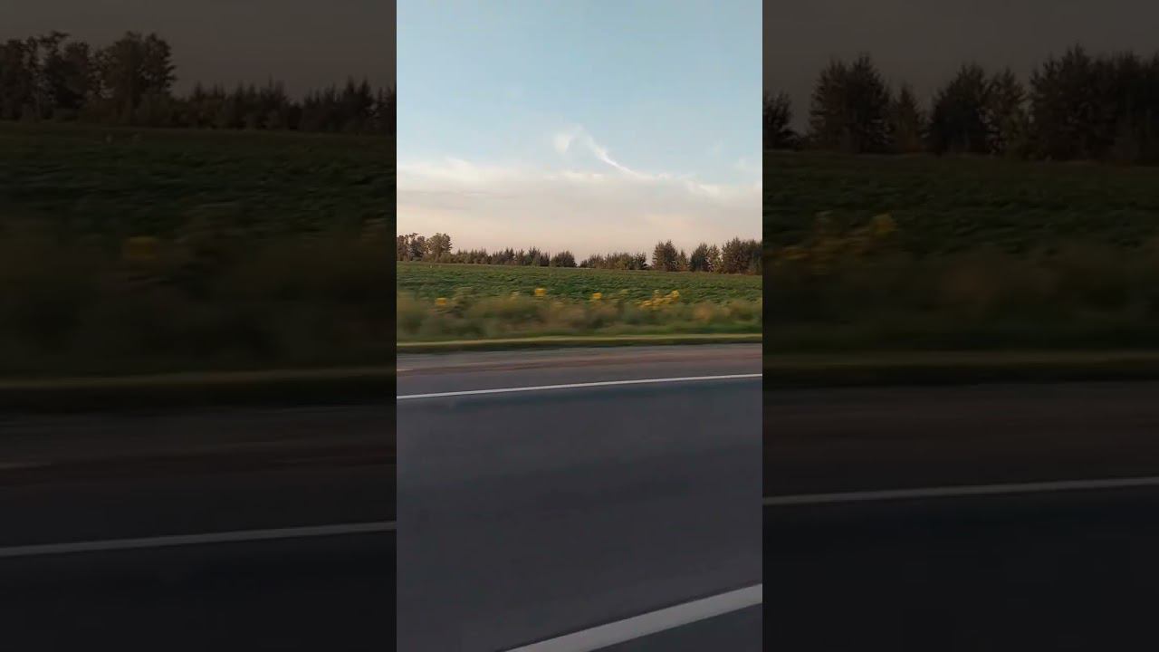 #дорога #дорогадальняя #поездка #природа