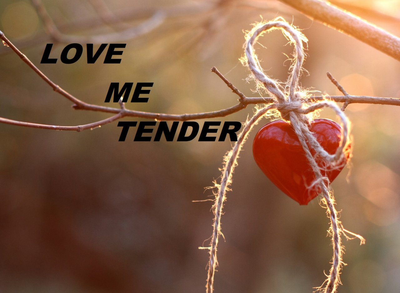 лав ми тендер ноты. Love me tender текст. песня tender love. Love me tender презентация. Norah jones love me tender.