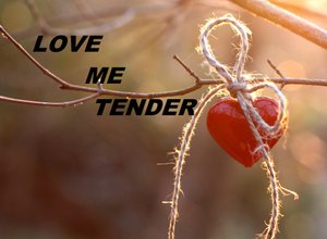 Love me tender (песня Элвиса Пресли) кавер