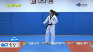 тэгук ИЛЬ джан 1 - на желтый пояс (8 гып)