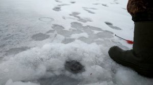 Рыбалка на зимнюю поплавочную удочку