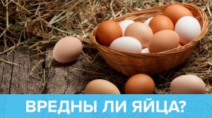 ЯЙЦА: инструкция по применению | Доктор 24
