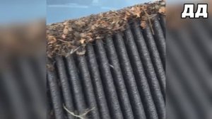 Жесть на сто или будни автосервиса #93 Подборка ЖЕСТЬ пол машины   автожесть