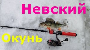 #472 #StreetFishing | Зимний спиннинг | Невский окунь |