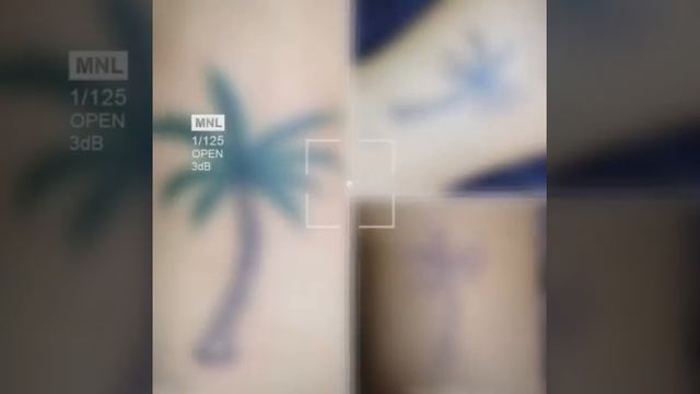 minimalism tattoo coconut tree/ roman #