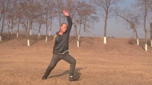 Учебное пособие по Бацзицюань - ушу (урок по краткому введению в Бацзи)