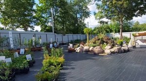 Питомник "Русская ива".