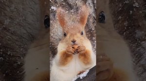 В моём городе первый снег❄️? Москва, парк Горького, 27 октября 2023. Музыка: Рома Жуков –Первый сне