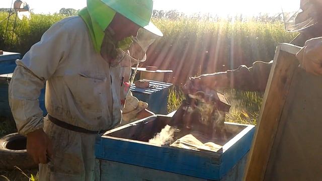 Подарки из меда Rich honey