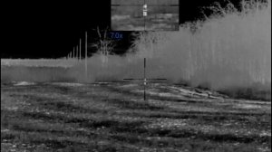 Ночная охота на шакала с тепловизионным прицелом Pulsar, манком Lucky Duck. Добыто два шакала.