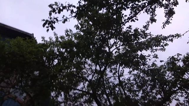 Огонь, Мангал, Дача (Fire in barbecue) смотреть онлайн