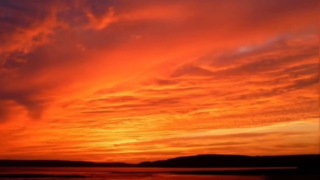 «Есть только ОДНО» Роберт Адамс смотреть онлайн