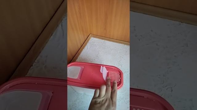 Обзор на банку для сыпучих продуктов Plast team Bergen 2,5л. коралловый в Sulpak смотреть онлайн